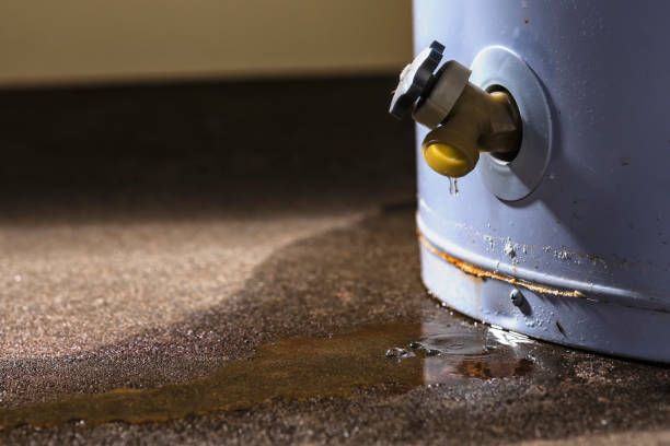 Best Basement water damage restoration  in Woods Creek, WA