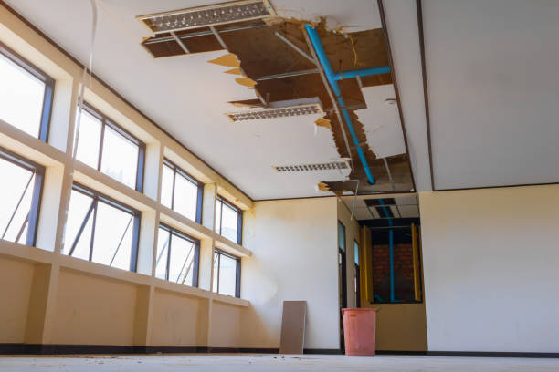 Best Flood damage cleanup  in Woods Creek, WA