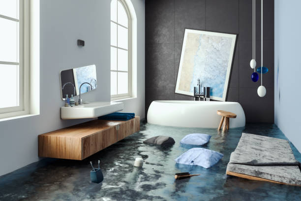 Best Professional water damage repair  in Woods Creek, WA