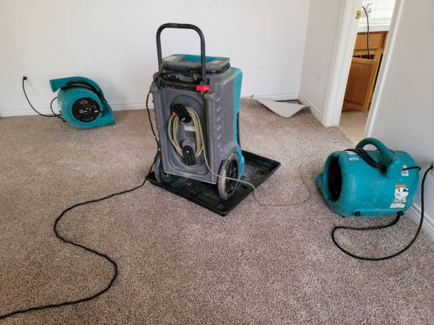 Best 24/7 water damage repair  in Woods Creek, WA