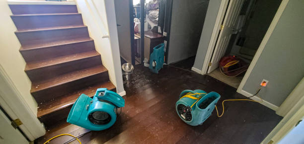 Best Carpet water damage restoration  in Woods Creek, WA