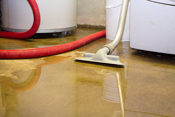 Best Fire Damage Restoration  in Woods Creek, WA