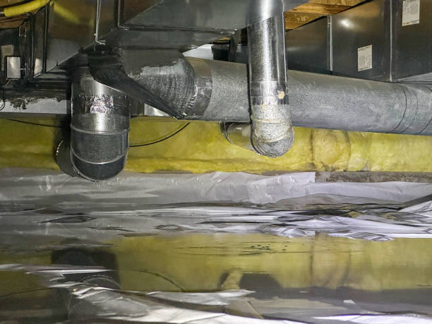 Best Local water damage restoration  in Woods Creek, WA