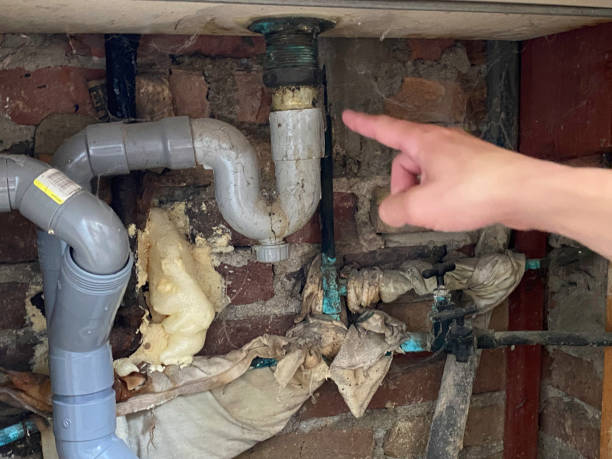 Best Water damage cleanup near me  in Woods Creek, WA