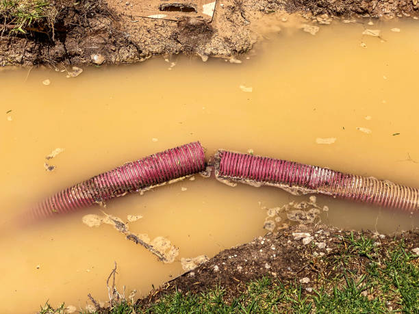 Best Emergency water damage restoration  in Woods Creek, WA